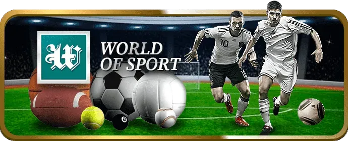 Đội ngũ chuyên gia bet29 nhà cái